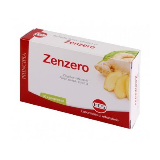 ZENZERO ESTR SECCO 60CPR KOS