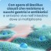 Enterogermina 10 Flaconi 4 Miliardi/5ml - Microorganismi Antidiarroici
