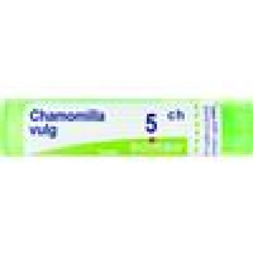 CHAMOMILLA Tubo   5CH