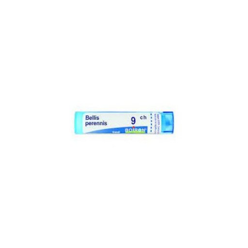 BELLIS PERENNIS Tubo   9CH