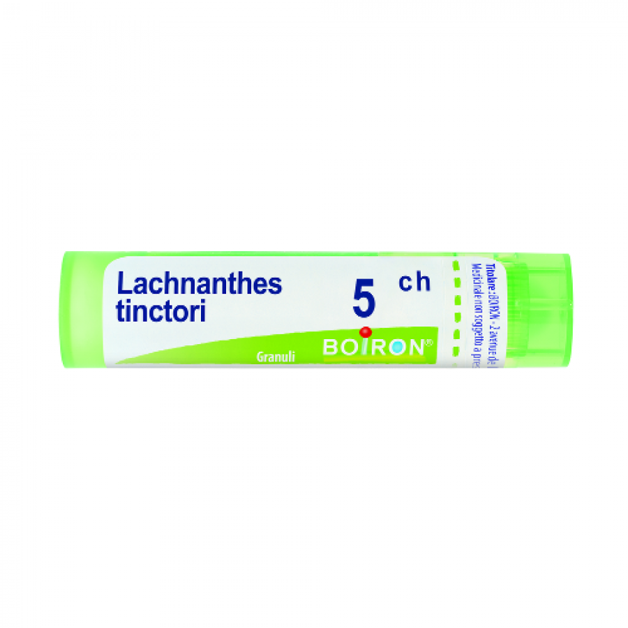 LACHNANTHES TINCTORIA Tubo   5CH