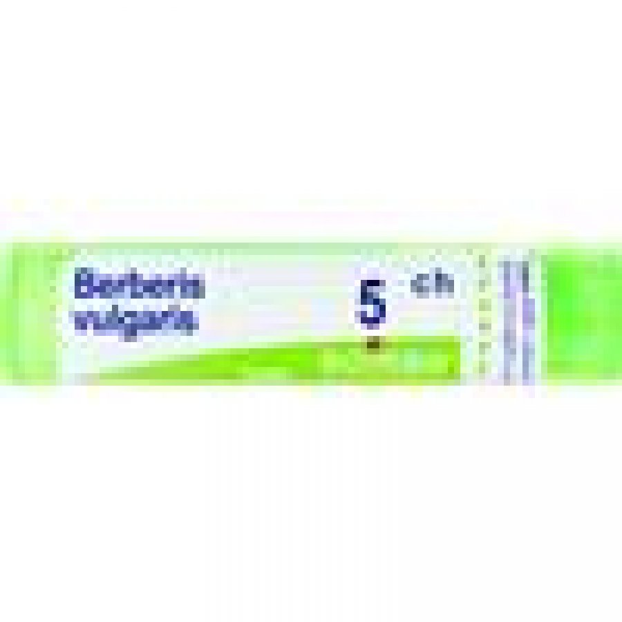 BOIRON BERBERIS VULGARIS 5CH 80GR 4G