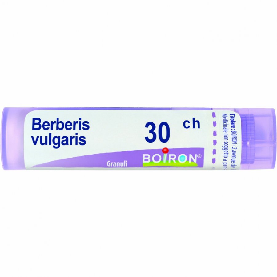 BO.BERBERIS VULG*30CH 80GR 4G