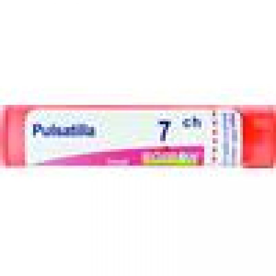 PULSATILLA*7CH 80GR 4G BO