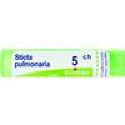 BO.STICTA PULMONARIA*5CH 80GR