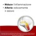 Benactivdolmed Med 8,75mg/Dose, 15 ml