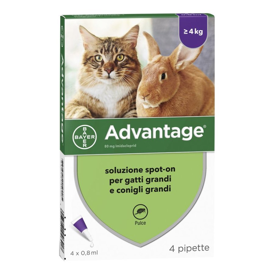 Bayer, Advantage Spot-On Per Gatti Grandi e Conigli Grandi, 4 Pipette 