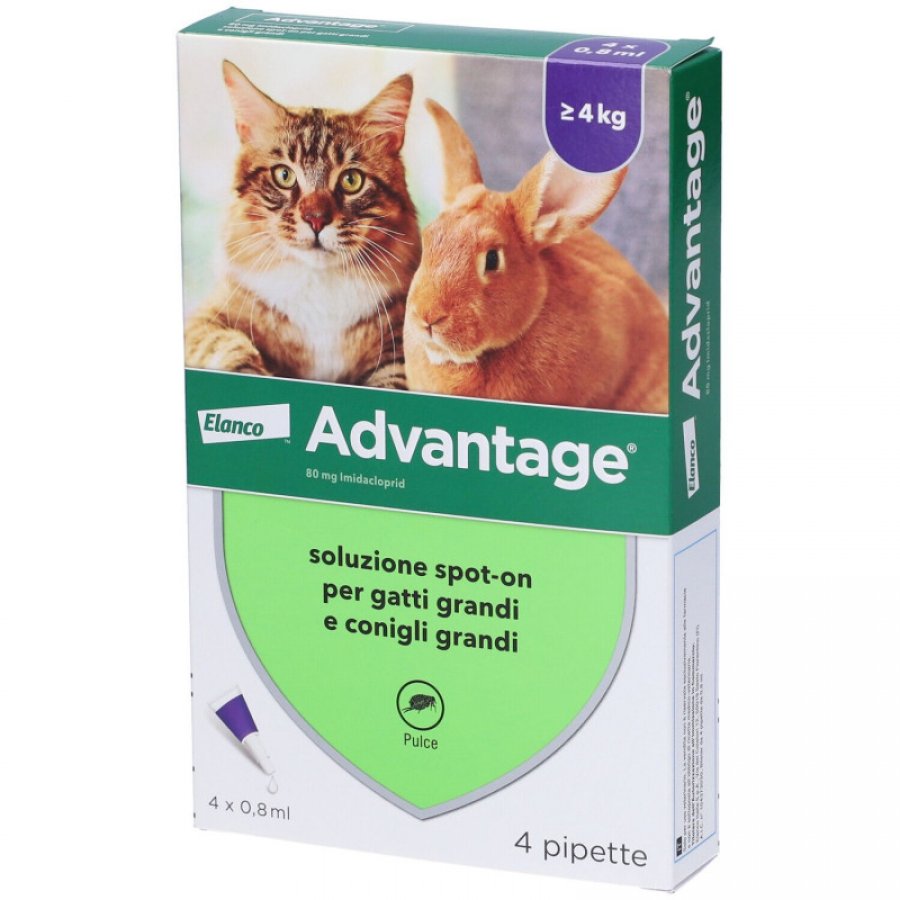 Advantage Spot On Antiparassitario per Gatti e Conigli Grandi 4 Pipette da 0,8 ml - Protezione Efficace contro Parassiti