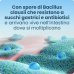 Enterogermina, 2 Miliardi/5ml Sospensione Orale, 20 Flaconcini