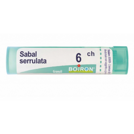 Sabal Serrulata Tubo 6CH
