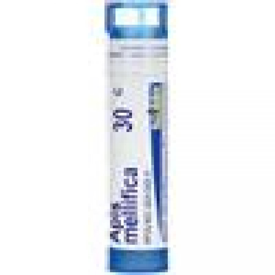  HERING Srl APIS MELLIFICA SGL 30 CH 4G GR