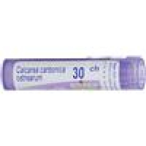 Calcarea Carb Ost 30ch Gr