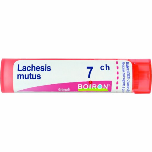 LACHESIS MUTUS Tubo   7CH