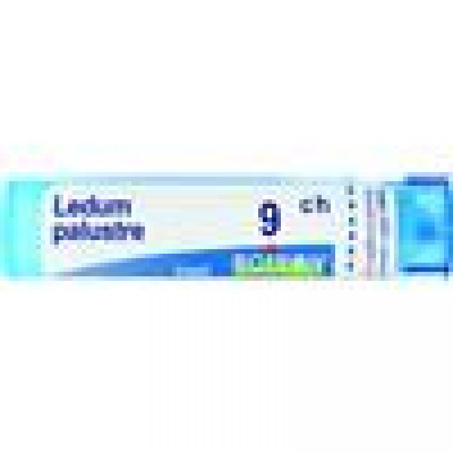 LEDUM PALUSTRE 9CH GR BO