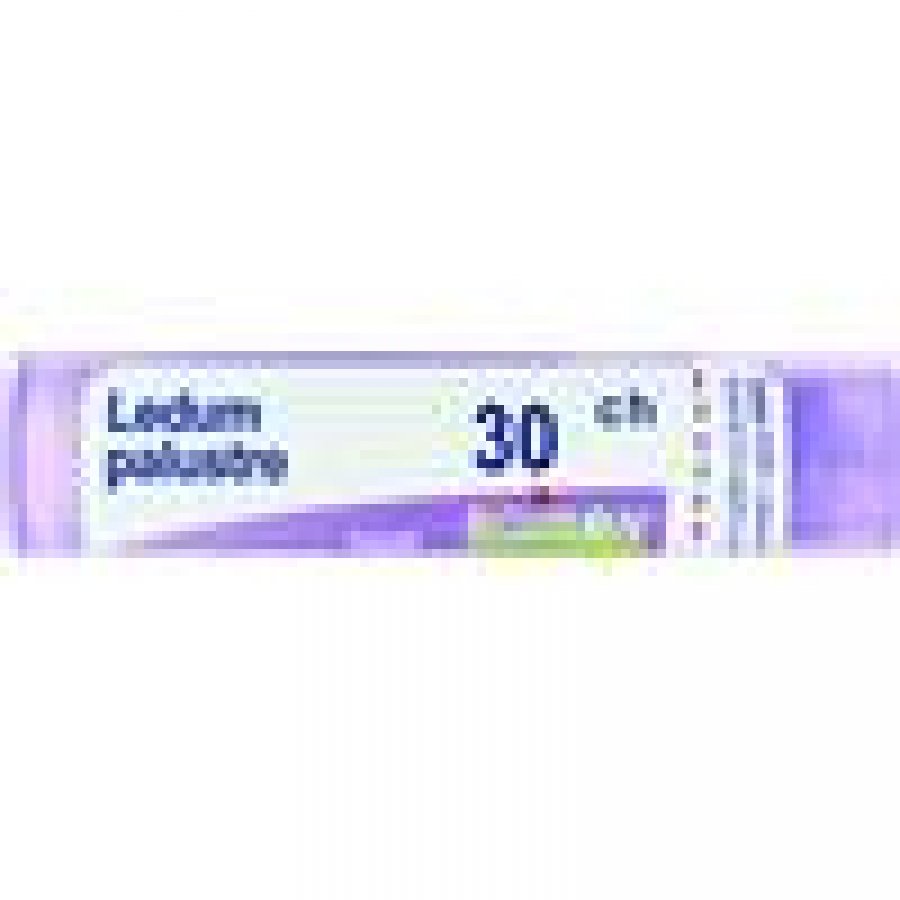 LEDUM PALUSTRE 30CH GR BO