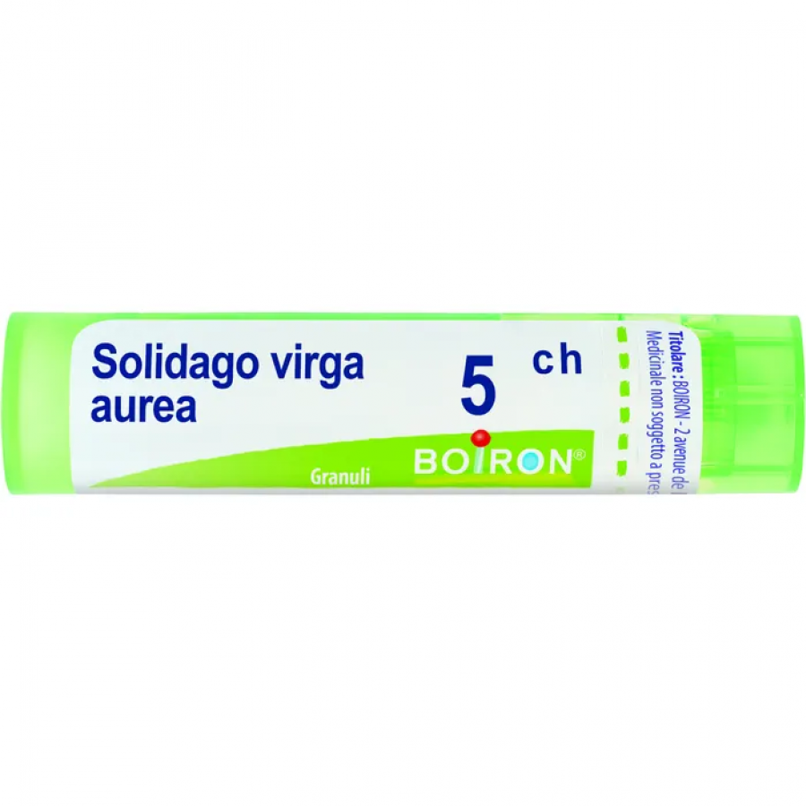 Boiron Solidago Virga Aurea Granuli 05Ch Tubo 4g