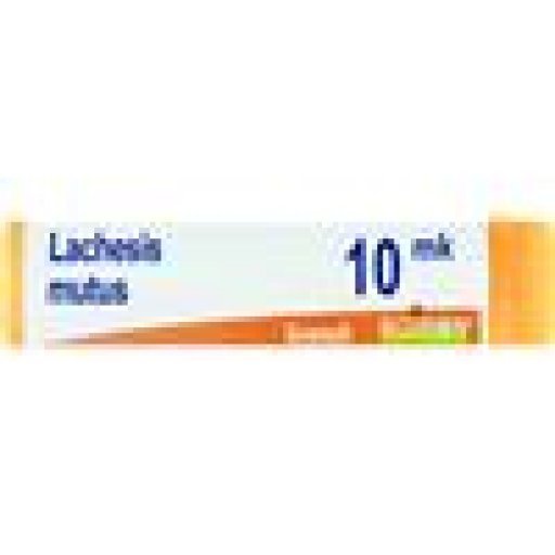 LACHESIS MUTUS Dose XMK
