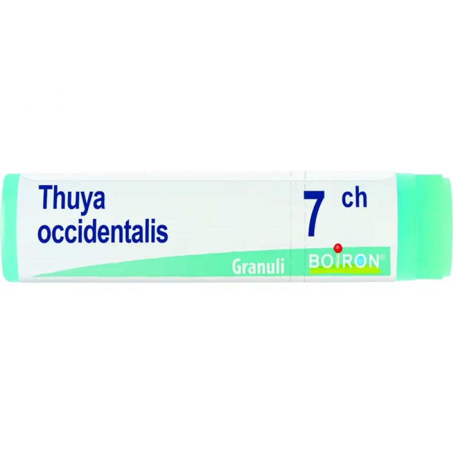 Boiron Thuya Occidentalis Globuli 07Ch Dose 1g