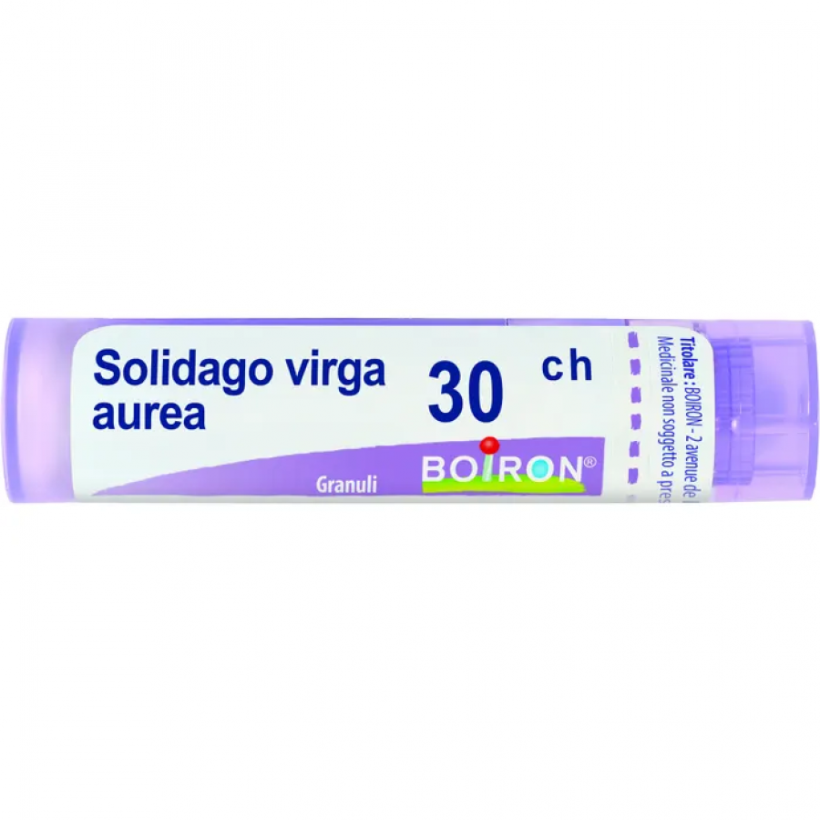 Boiron Solidago Virga Aurea Granuli 30Ch Tubo 4g