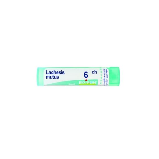 LACHESIS MUTUS Tubo   6CH