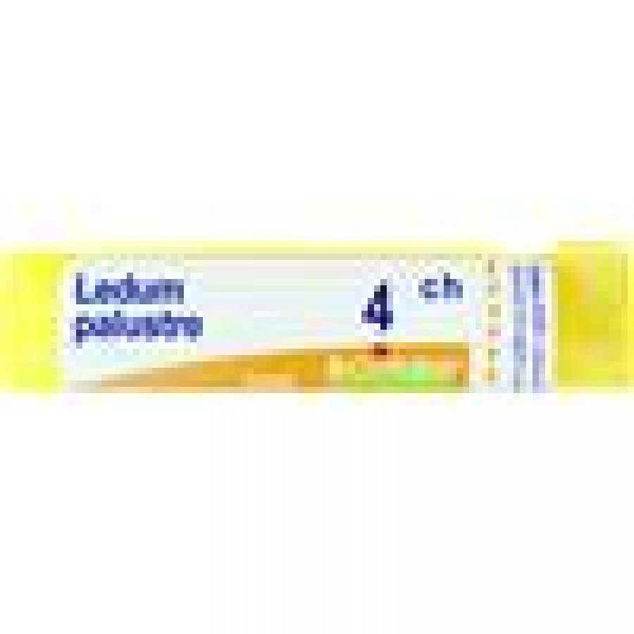 LEDUM PALUSTRE Tubo  4CH