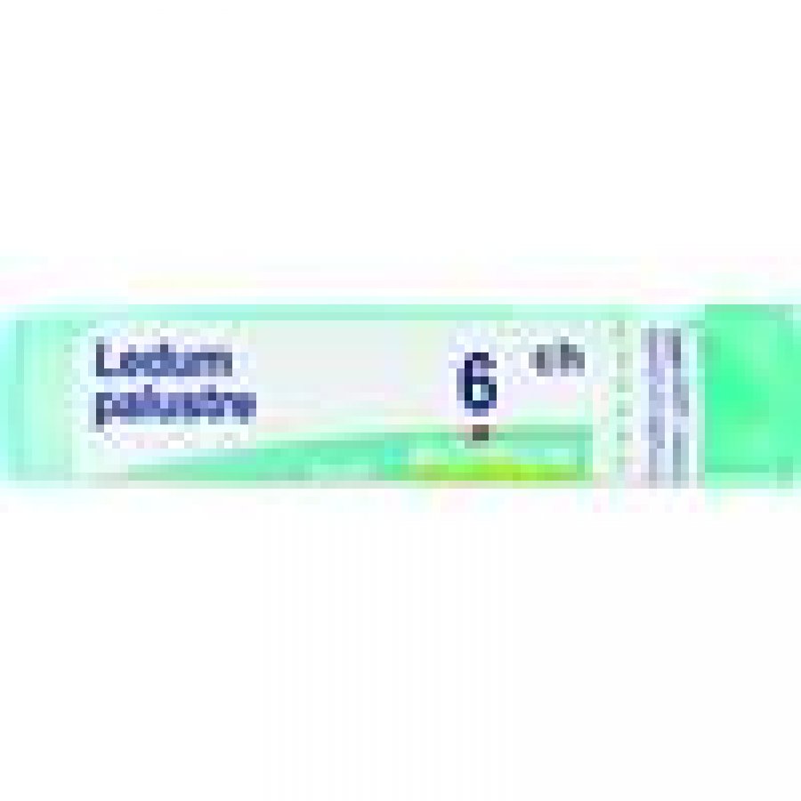 LEDUM PALUSTRE Tubo  6CH