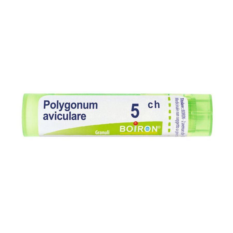 POLYGONUM AVICULARE*GRAN 5CH POLYGONUM AVICULARE*GRAN 5CH