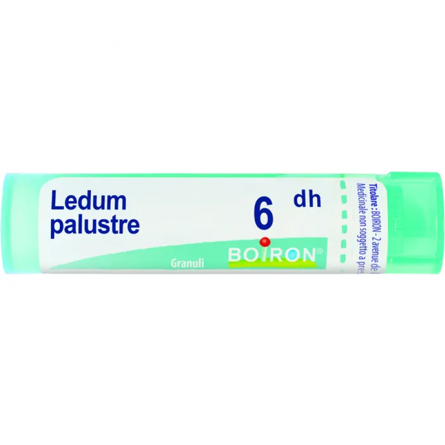 Boiron Ledum Palustre Granuli 06Dh Tubo 4g