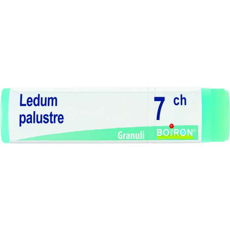 Boiron Ledum Palustre Globuli 07Ch Dose 1g