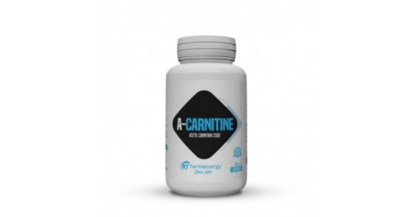 is taking l carnitine worth it When To Take L Carnitine to Maximise Your Shredding and Beyond  BSc  Supplements