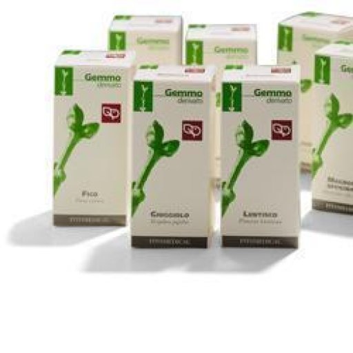 IPPOCASTANO 50ML MG FTM