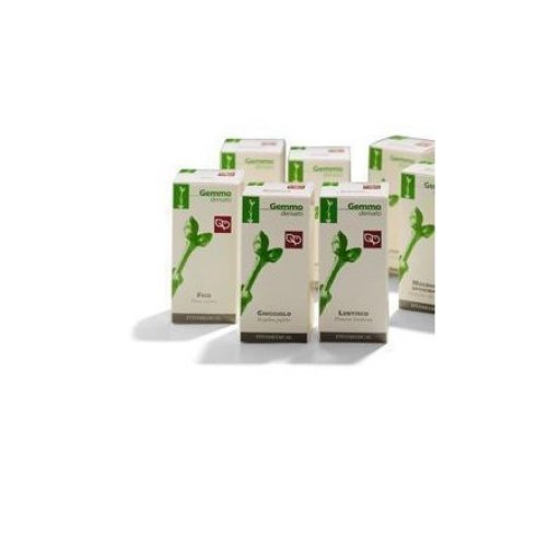 KIWI 100ML MG FTM