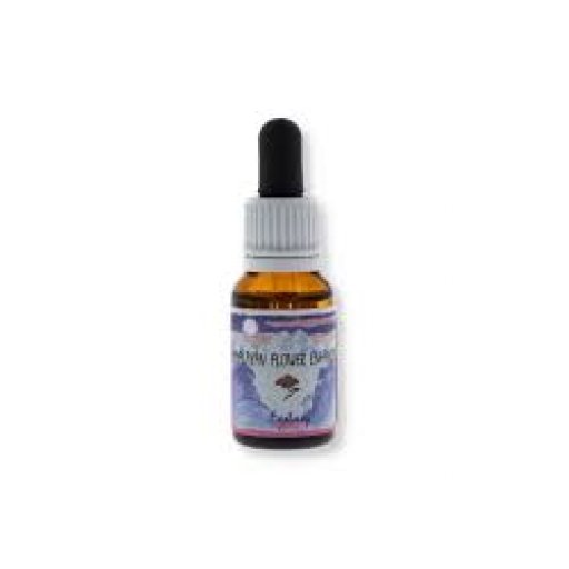 ECSTASY ESS 15ML