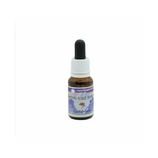 GRATEFULNESS ESSENZA 15ML