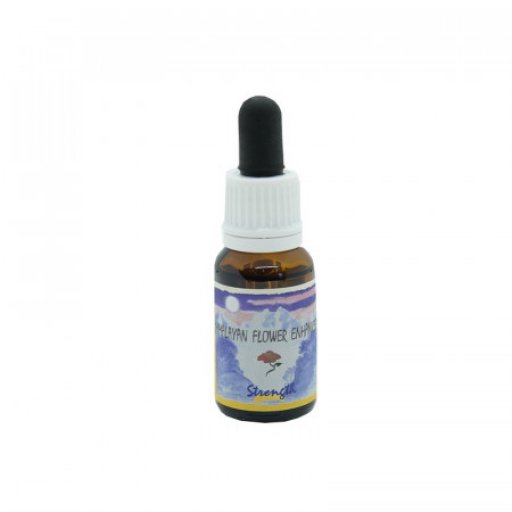 STRENGTH ESSENZA 15ML
