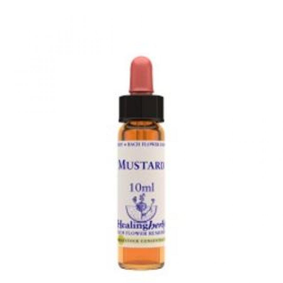 MUSTARD ESS 10ML INGL B021 HER