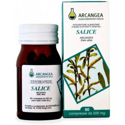 SALICE 60CPS 500MG ARCANGEA