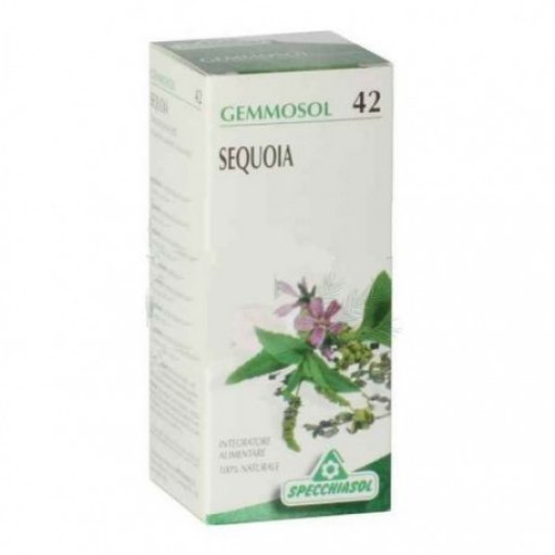 GEMMOSOL 42 SEQUOIA 50ML