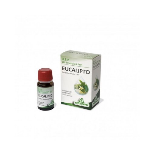 OLIO ESSENZA Eucalipto 10ml