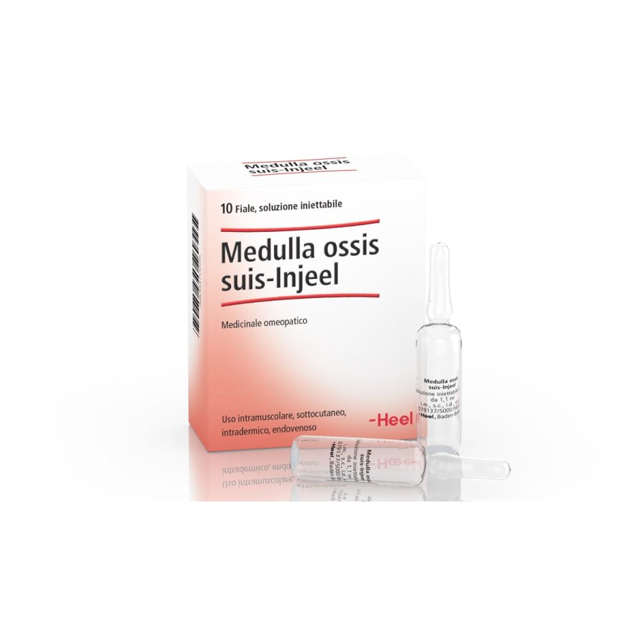 Medulla Ossis Suis-Injeel, 10 fiale da 1,1 ml