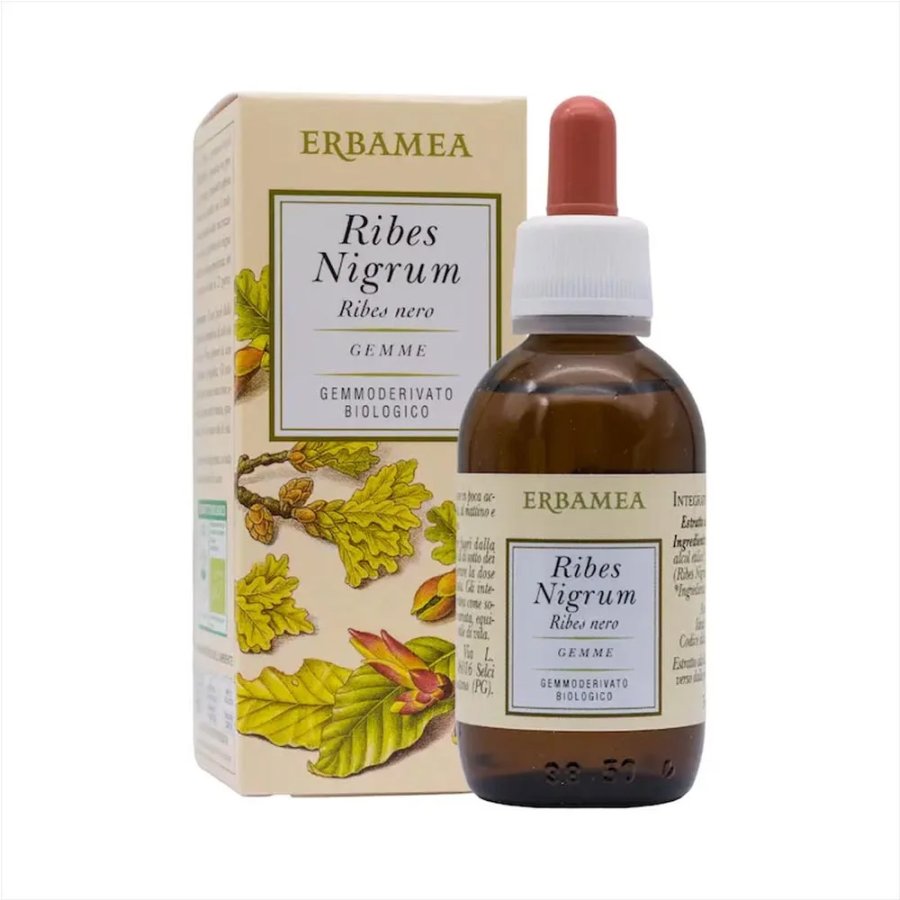 Erbamea, Ribes Nigrum Gemme Gemmoderivato Bio, 50 ml