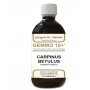 Carpino Bi 500ml Analco Gem10+ - 4