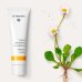 Dr. Hauschka Crema alla Melissa per il Giorno, 30 ml Dr. Hauschka Crema alla Melissa per il Giorno, 30 ml