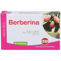 Kos, Principia Berberina, 60 Compresse