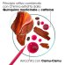 Klorane Balsamo alla Chinina, 200 ml