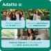 DulcoSoft GO, 20 Bustine Monodose DulcoSoft GO, 20 Bustine Monodose