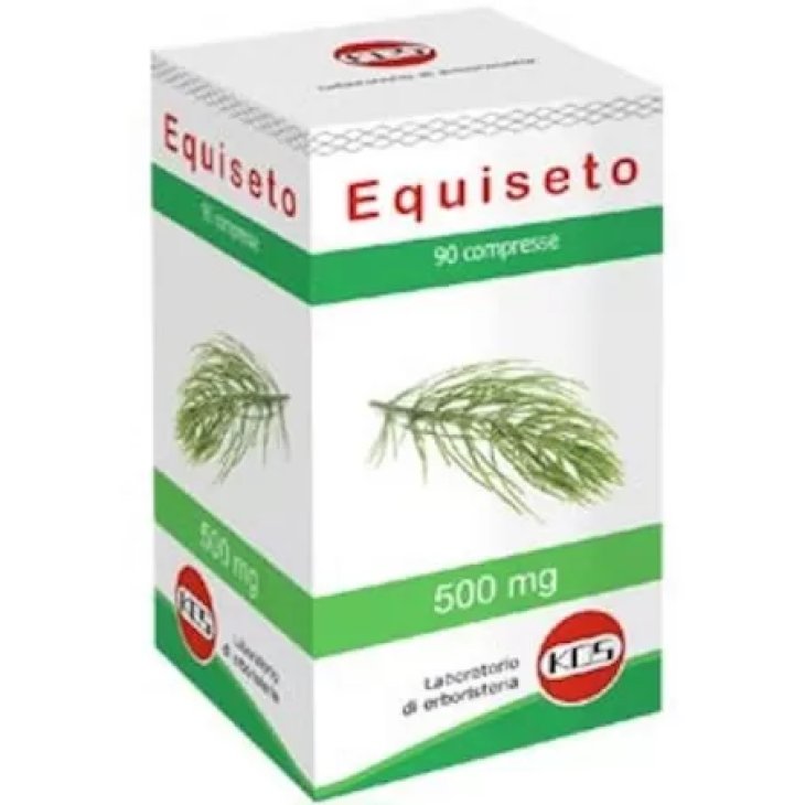 Equiseto 90 Compresse - Integratore di Equiseto per la Salute delle Tue Unghie, Capelli e Pelle Equiseto 90 Compresse - Integratore di Equiseto per la Salute delle Tue Unghie, Capelli e Pelle