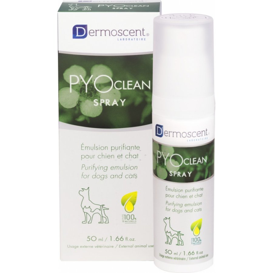 Pyo Clean Spray Tixotropico per Cani e Gatti 50ml - Trattamento Antimicrobico per Pelle e Pelliccia