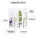 Phyto 7 Crema Giorno Idratante Capelli Secchi alle 7 Piante 50 ml