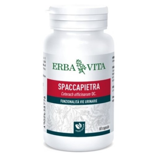 Erba Vita - Spaccapietra 60 Capsule: Integratore per la Salute delle Vie Urinarie